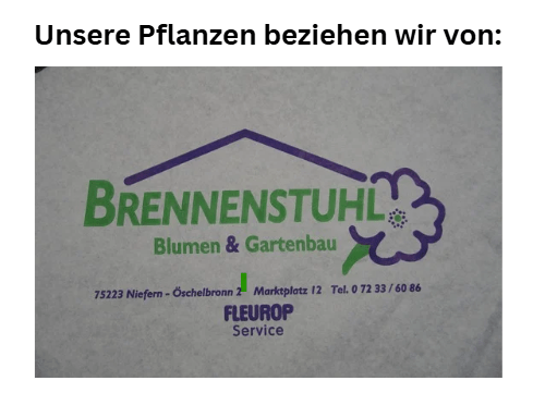 Brennenstuhl Pflanzen
