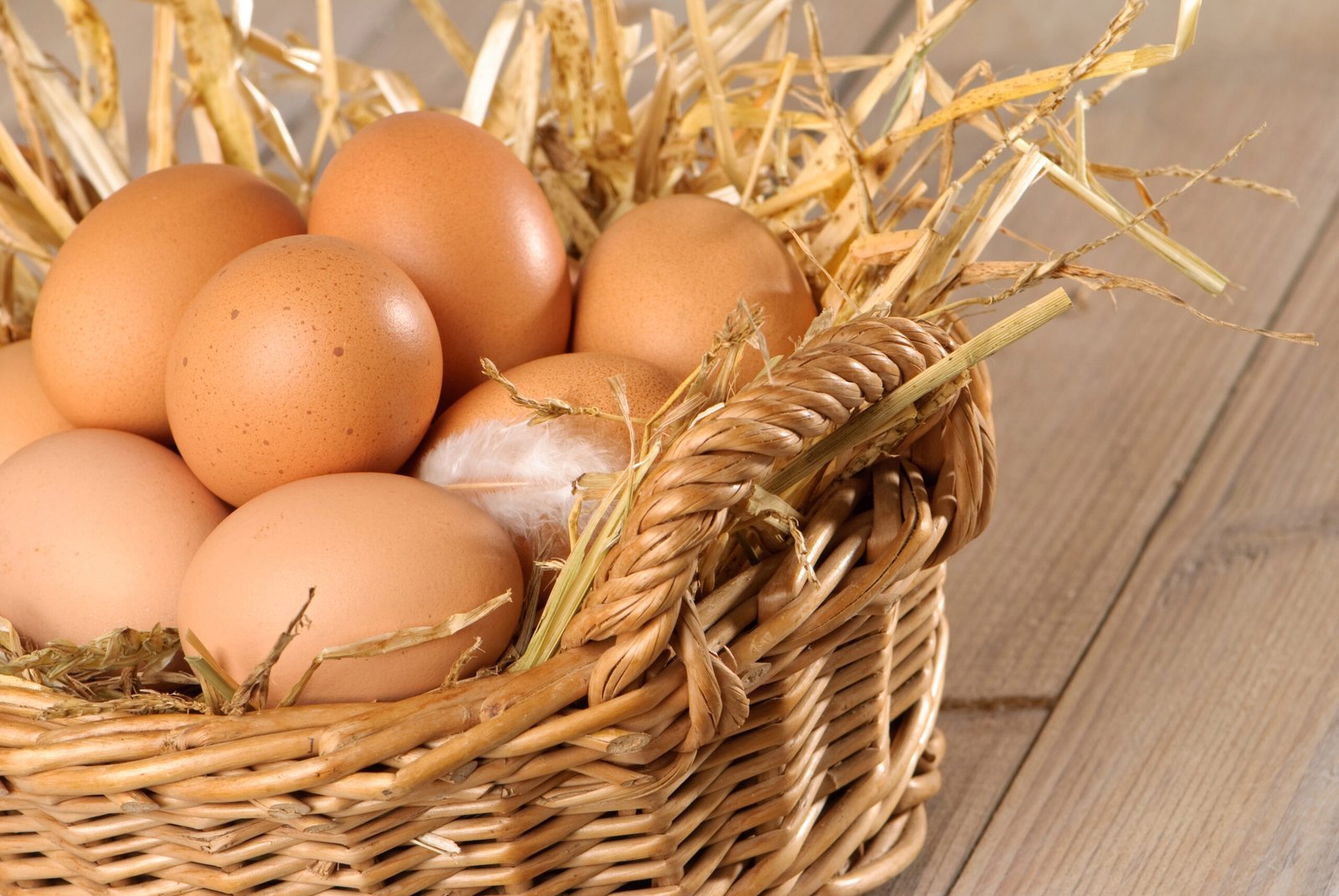 Eier