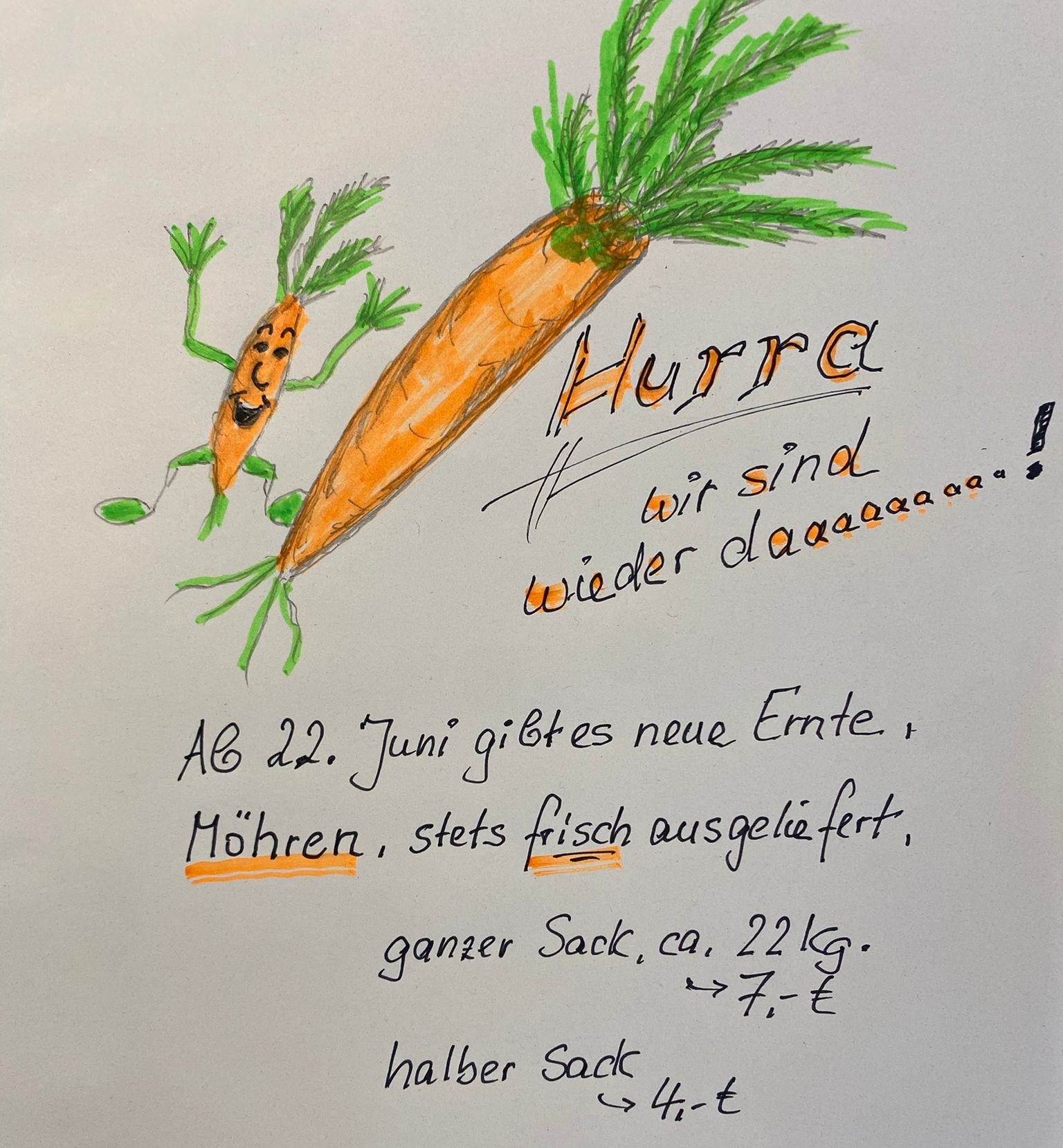 Es gibt wieder Futterkarotten ab dem 23. Juni 2026
